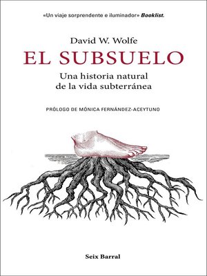 cover image of El subsuelo
